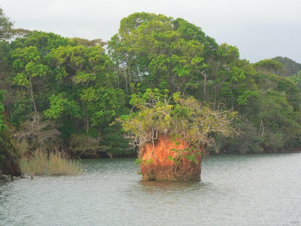 101- Rocher isole sculpte par la nature ou par l'homme 